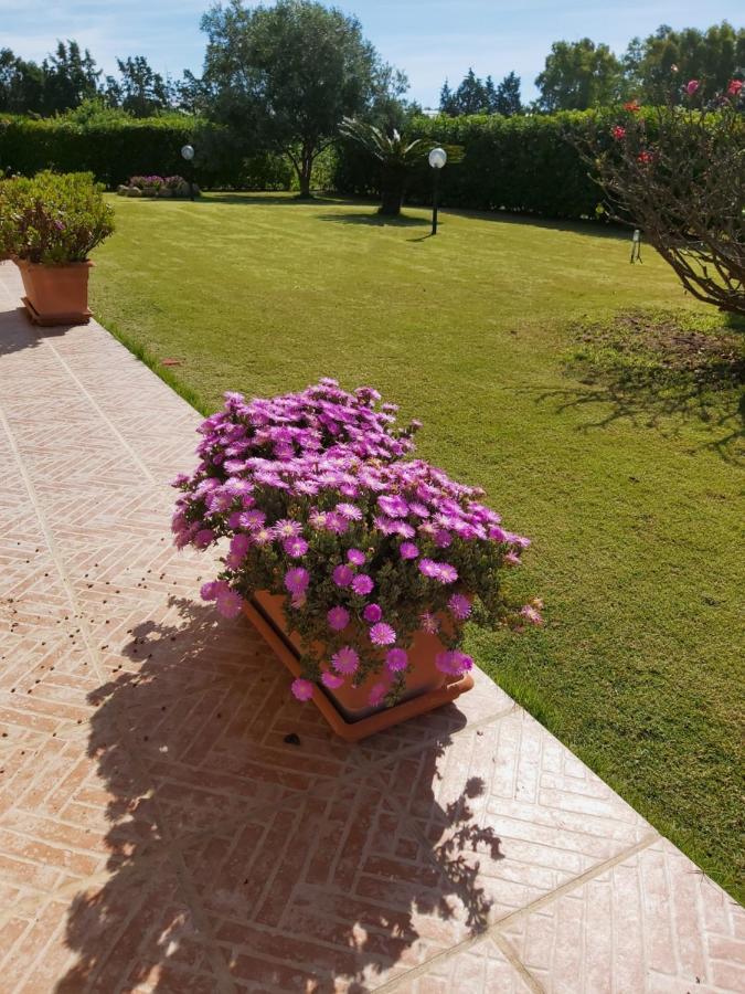 ホテル Casa Martina プーラ エクステリア 写真
